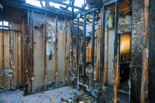 Professional Fire Damage Assessment technician working in Willis, TX
